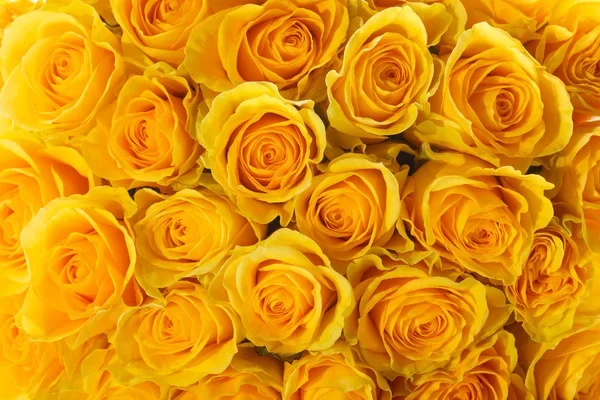 depositphotos_40919395-stock-photo-yellow-roses